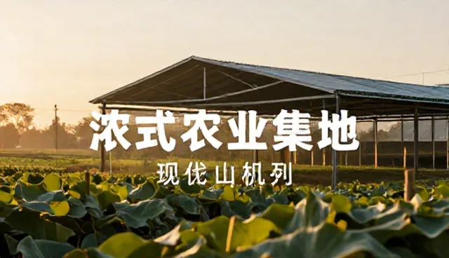 广告设计制作中的设计趋势检查要点